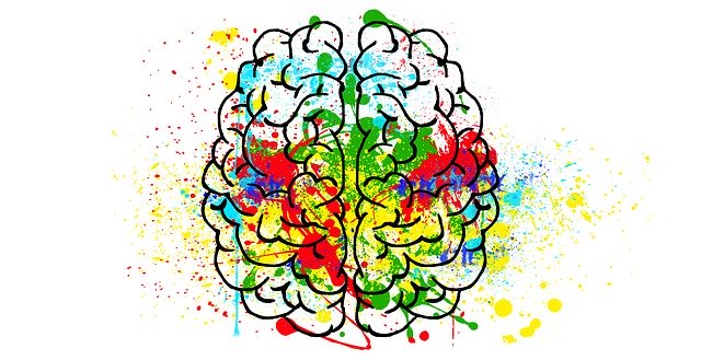 An image of a brain with multiple colors drawn inside and outside of the lines.